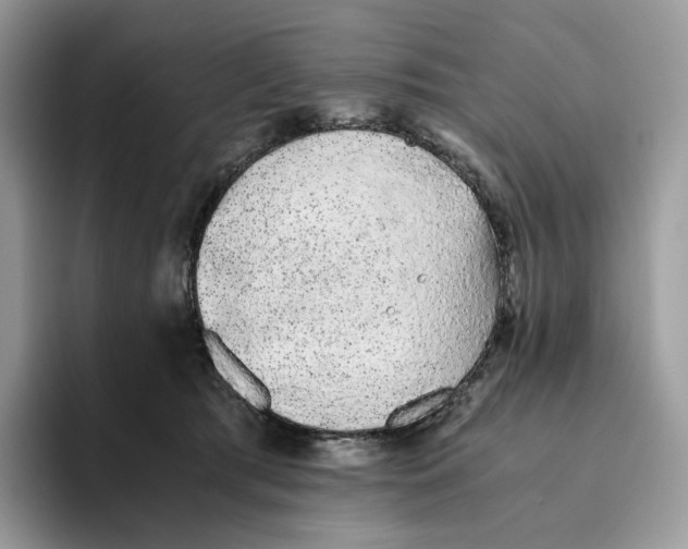 X0000093530417200711091801