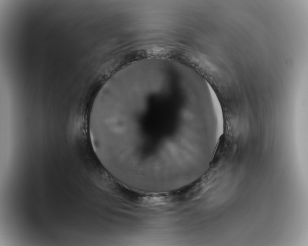 X0000093530419200711091801