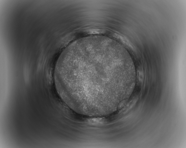 X0000093530422200711091801