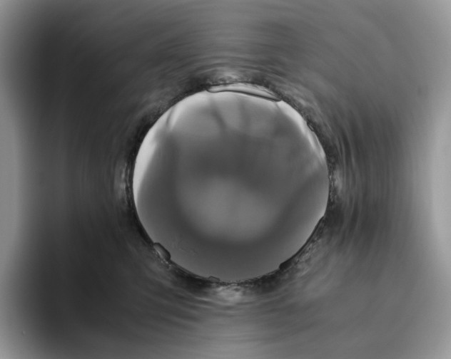 X0000093530423200711091801