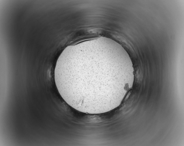 X0000093530424200711091801