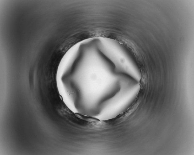 X0000093530429200711091801