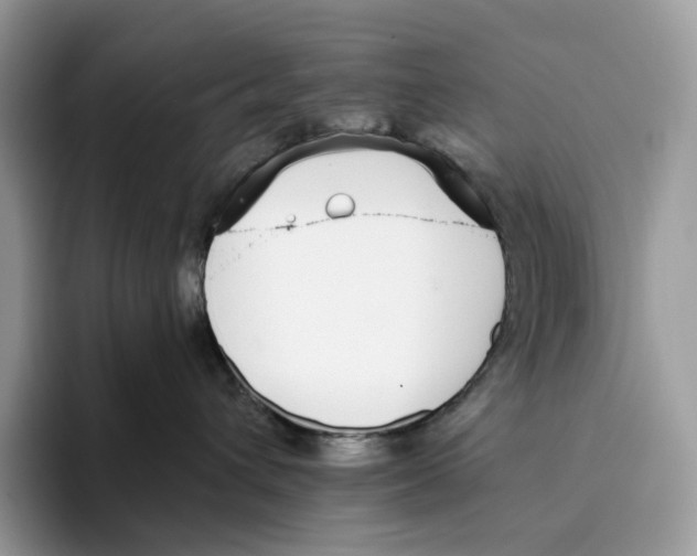 X0000093530432200711091801