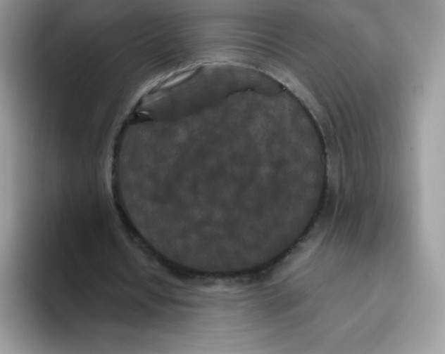 X0000093530434200711091800