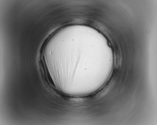X0000093530435200711091800