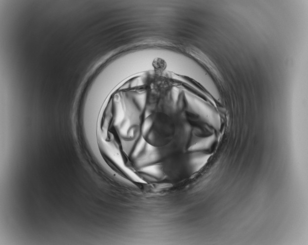 X0000093530436200711091800