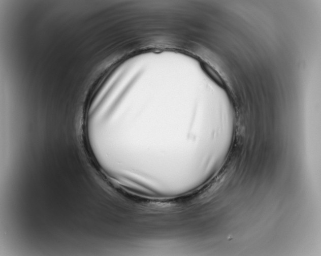 X0000093530437200711091800