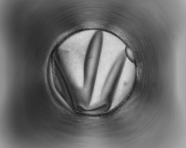 X0000093530438200711091800