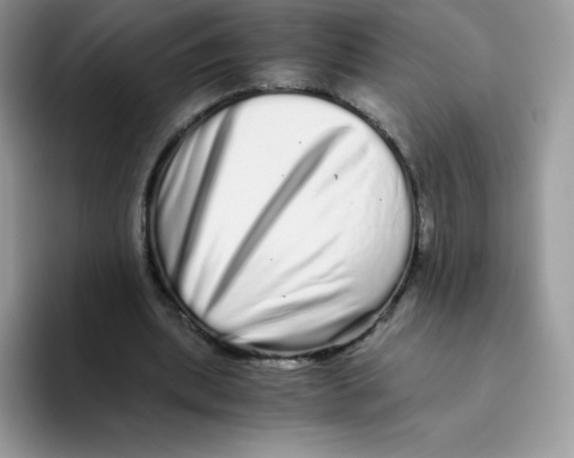 X0000093530439200711091800