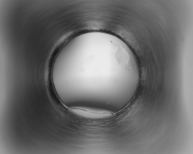 X0000093530440200711091800