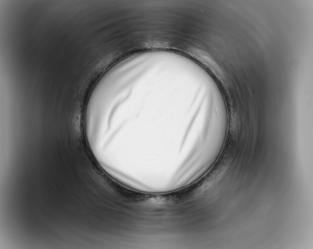 X0000093530441200711091800