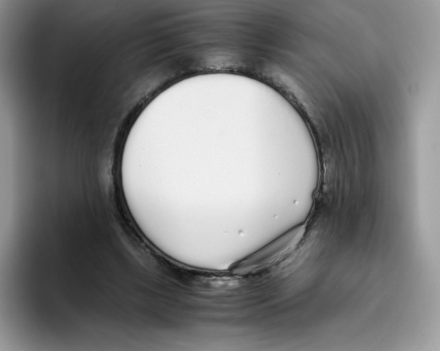 X0000093530443200711091800
