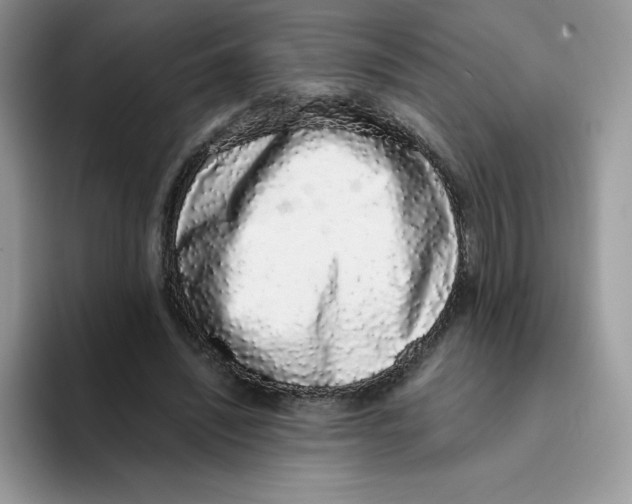 X0000093530444200711091800