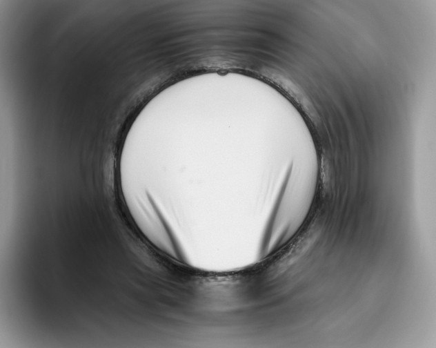 X0000093530445200711091801