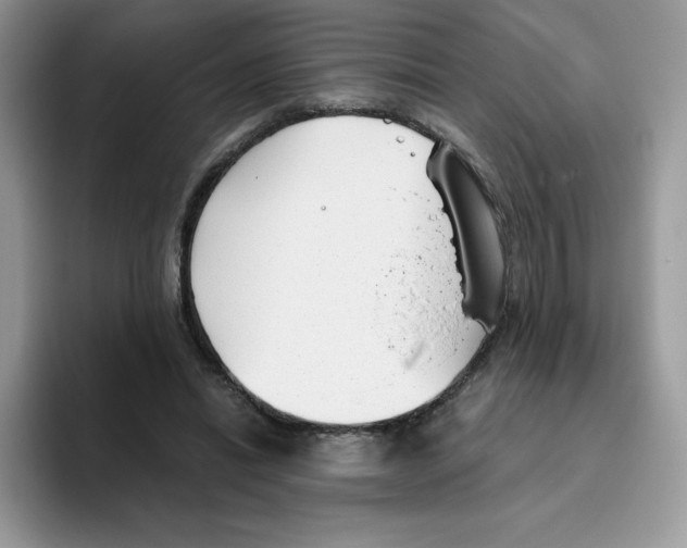 X0000093530446200711091801
