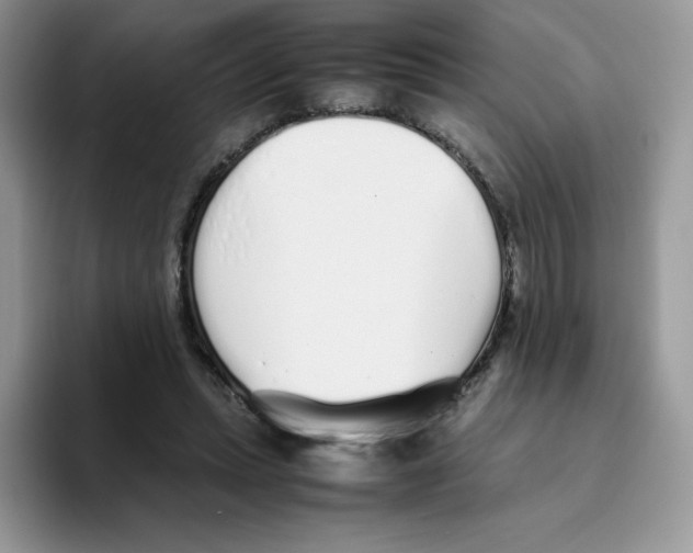 X0000093530447200711091801