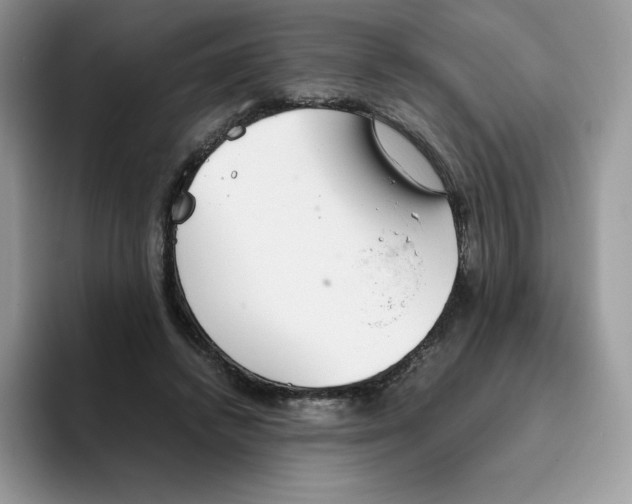X0000093530448200711091801