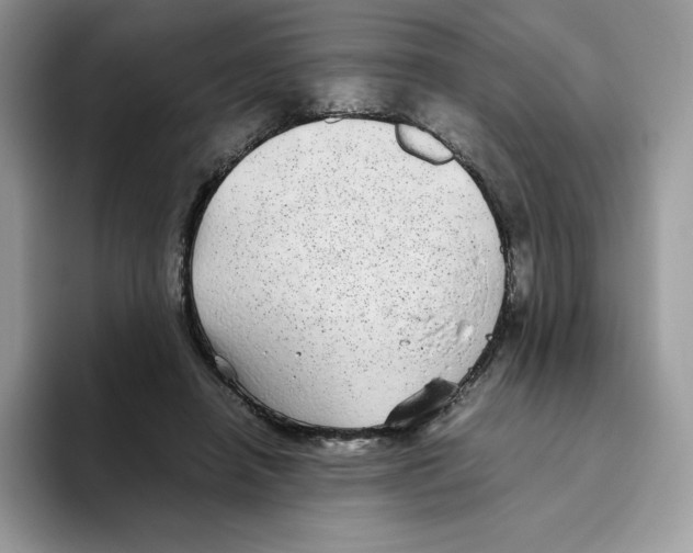 X0000093530450200711091801