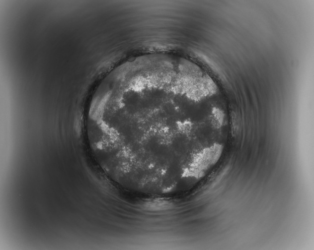 X0000093530451200711091801