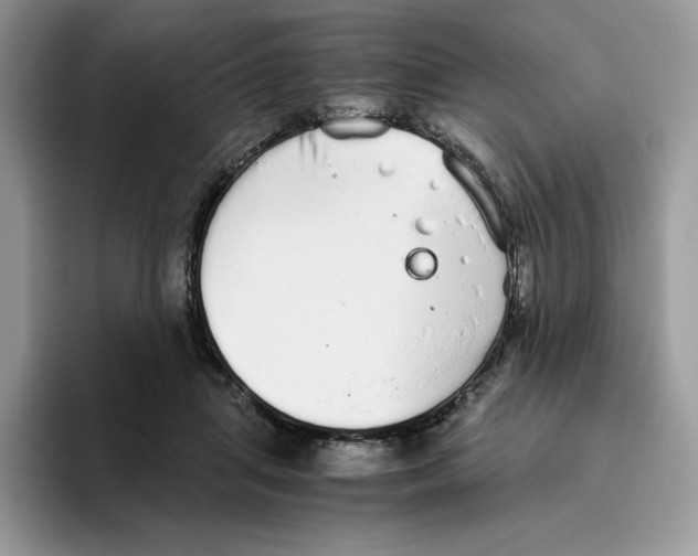 X0000093530455200711091801