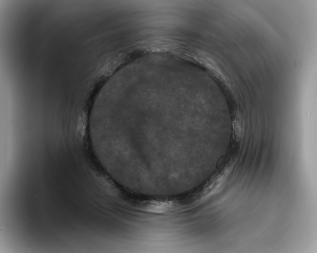 X0000093530458200711091801