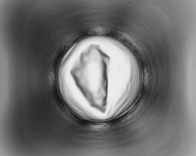 X0000093530459200711091801