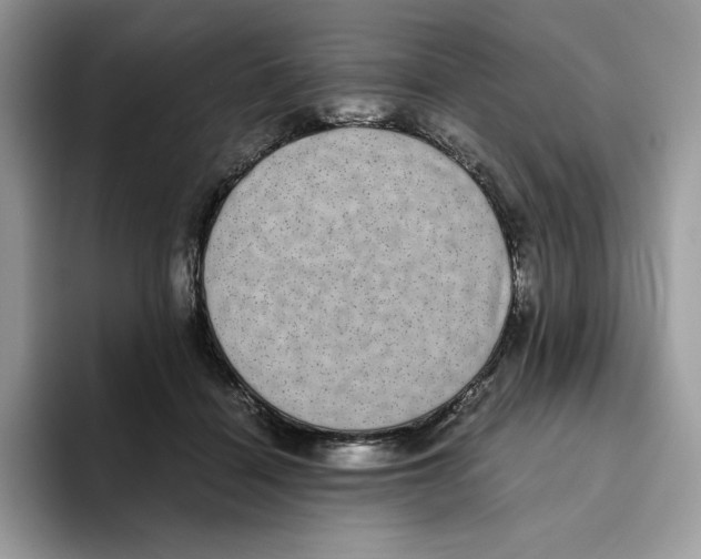 X0000093530460200711091801