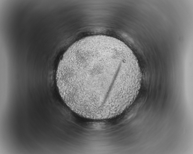 X0000093530462200711091801