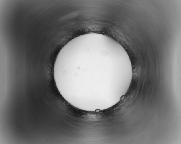 X0000093530464200711091801