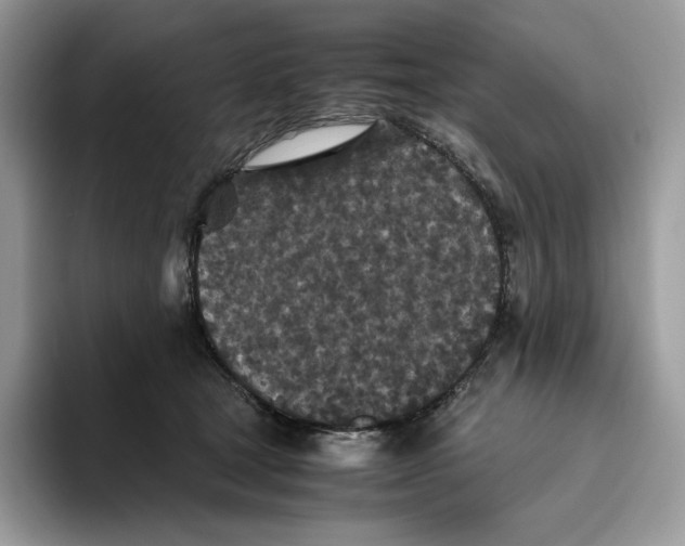 X0000093530465200711091801