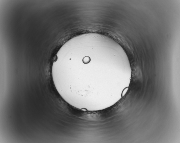 X0000093530466200711091801