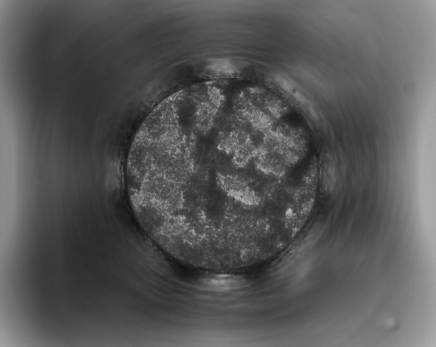 X0000093530467200711091801