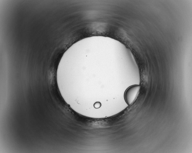 X0000093530468200711091801