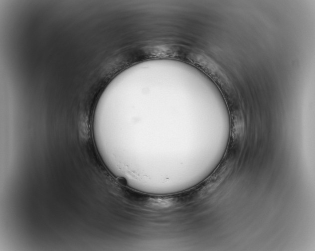 X0000093530469200711091801