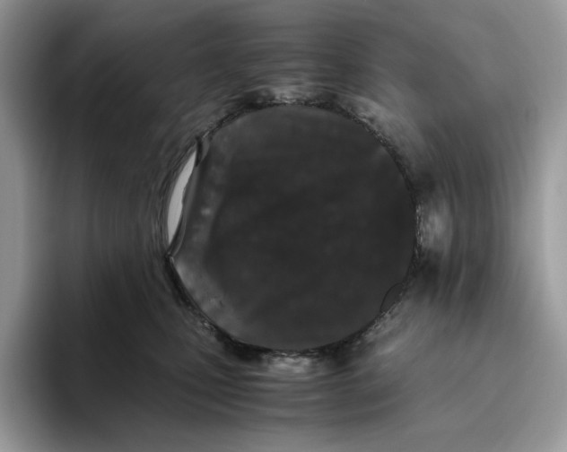 X0000093530471200711091801