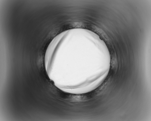 X0000093530473200711091801