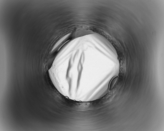 X0000093530474200711091801
