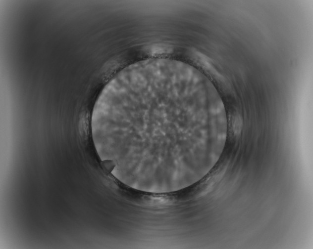 X0000093530475200711091801