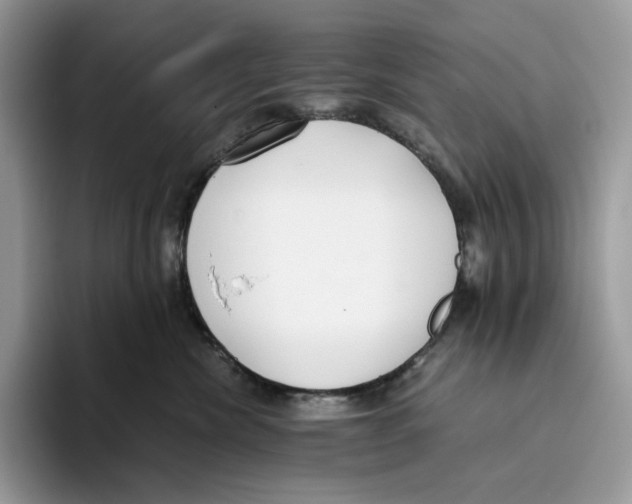 X0000093530476200711091801