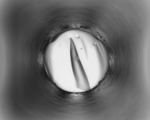 X0000093530477200711091801
