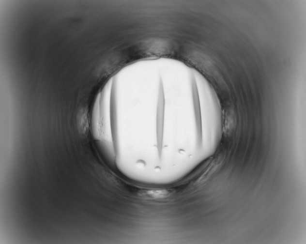X0000093530478200711091801