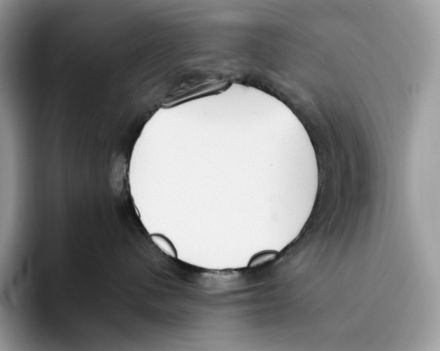 X0000093530480200711091801
