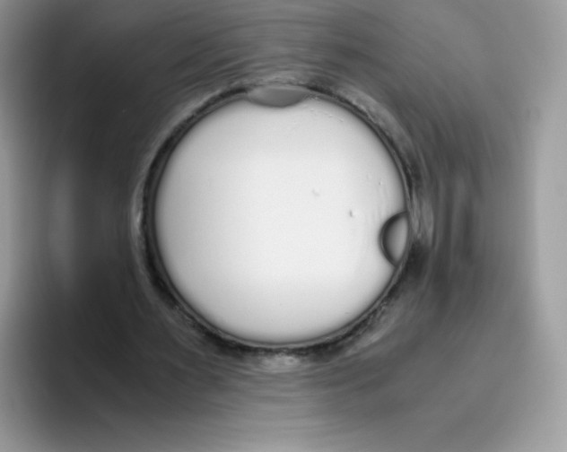 X0000093530483200711091800