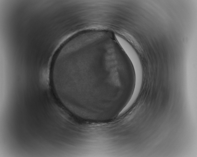 X0000093530484200711091800