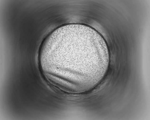 X0000093530485200711091800