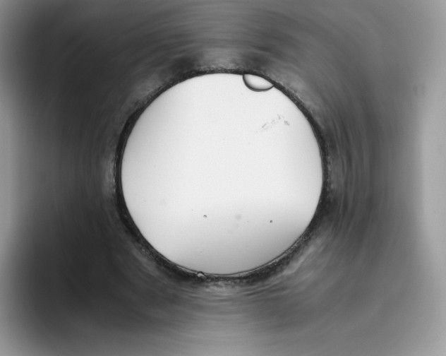 X0000093530489200711091800