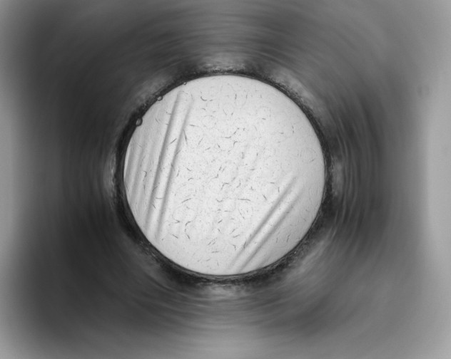 X0000093530490200711091800