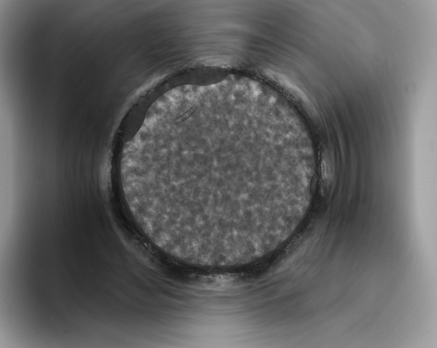 X0000093530492200711091800