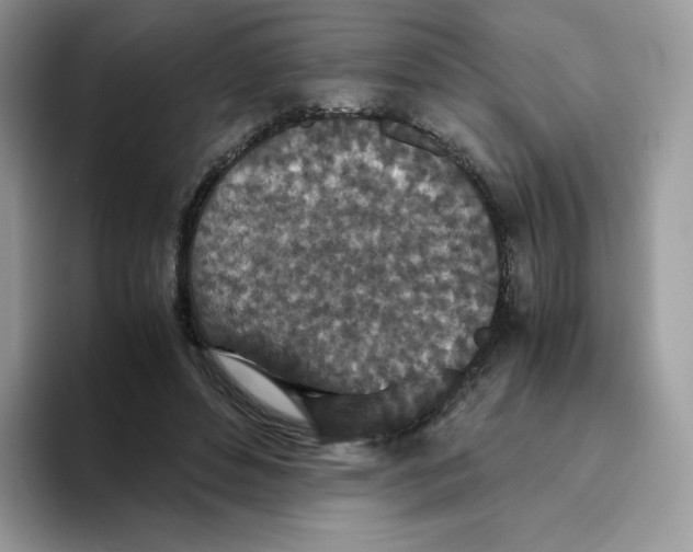 X0000093530496200711091800