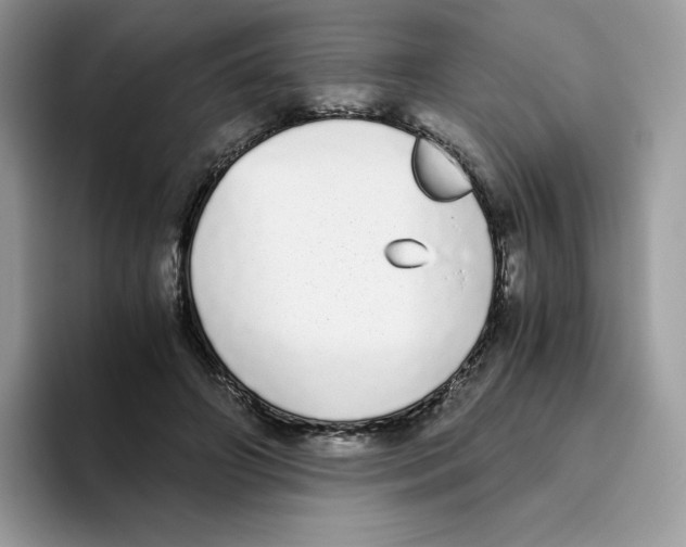 X0000093530498200711091800